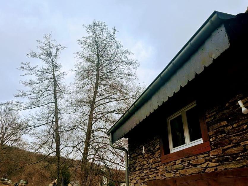 Gite Du Gue Les Hautes-Rivieres Dış mekan fotoğraf